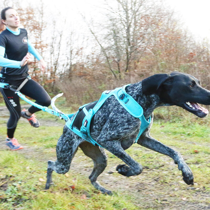 Longe de traction OPALE ALM 190cm pour canicross - MEDIUM DOG