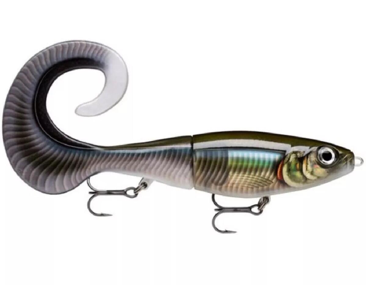 RAPALA picture