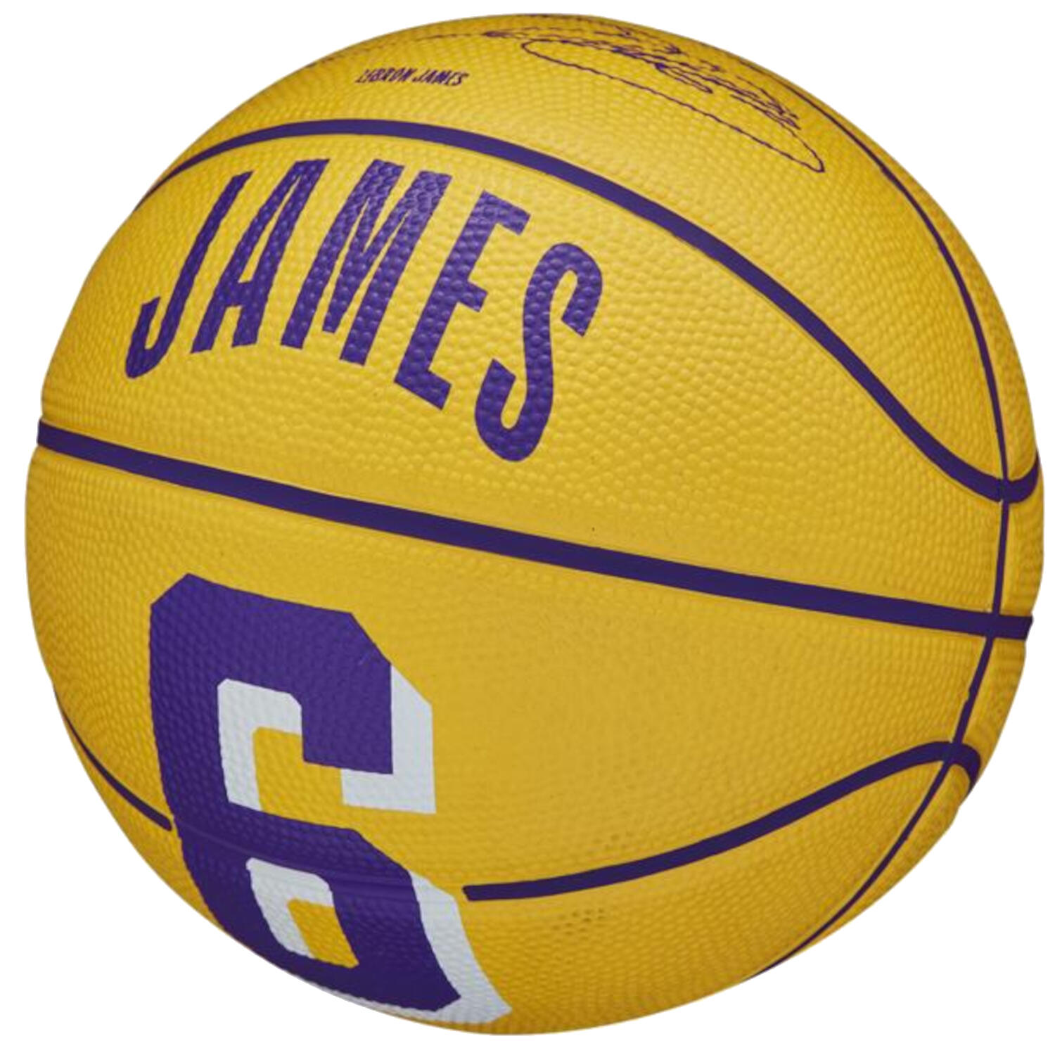 Ballon de basket Wilson NBA Player Icon LeBron James Mini Ball 3/6