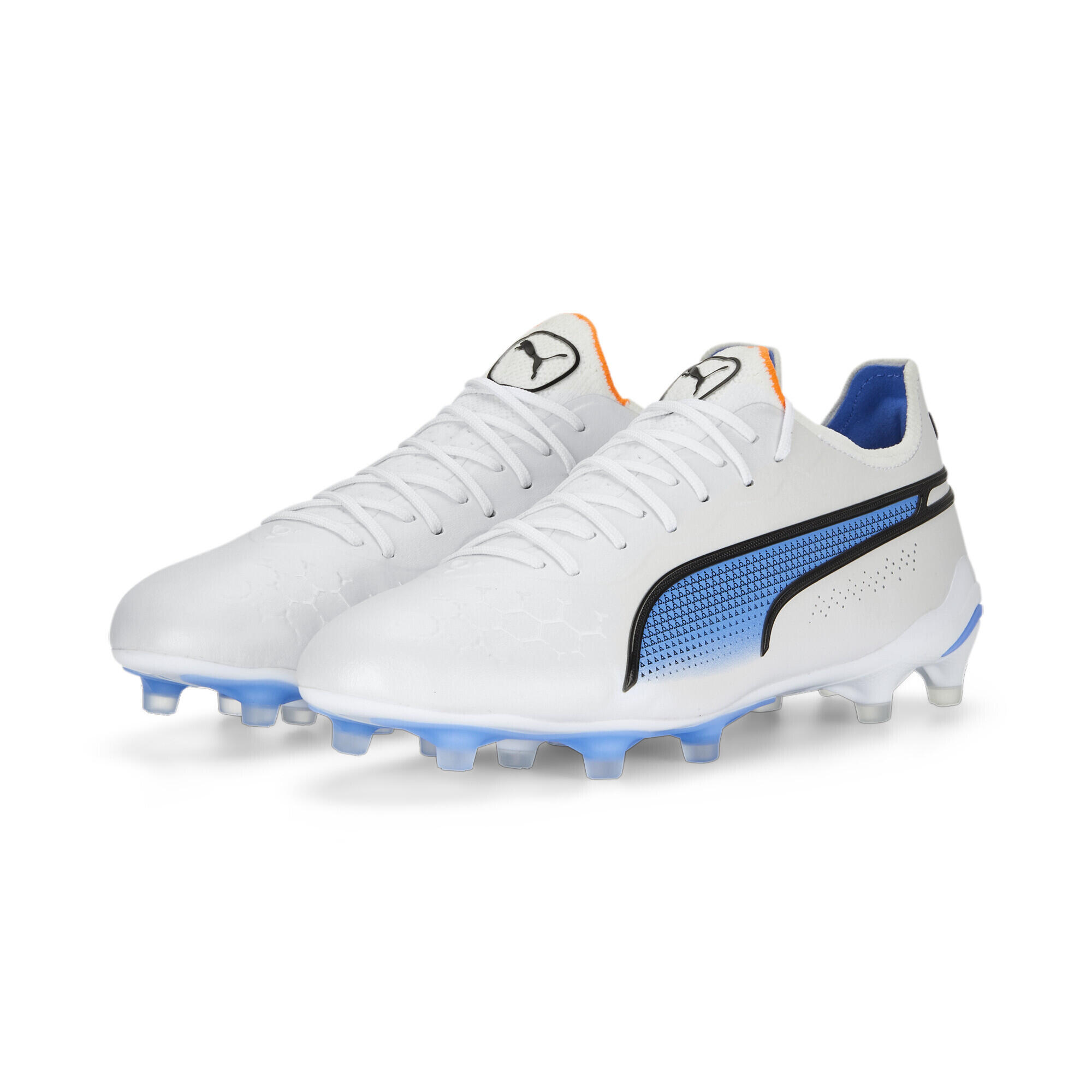 PUMA picture