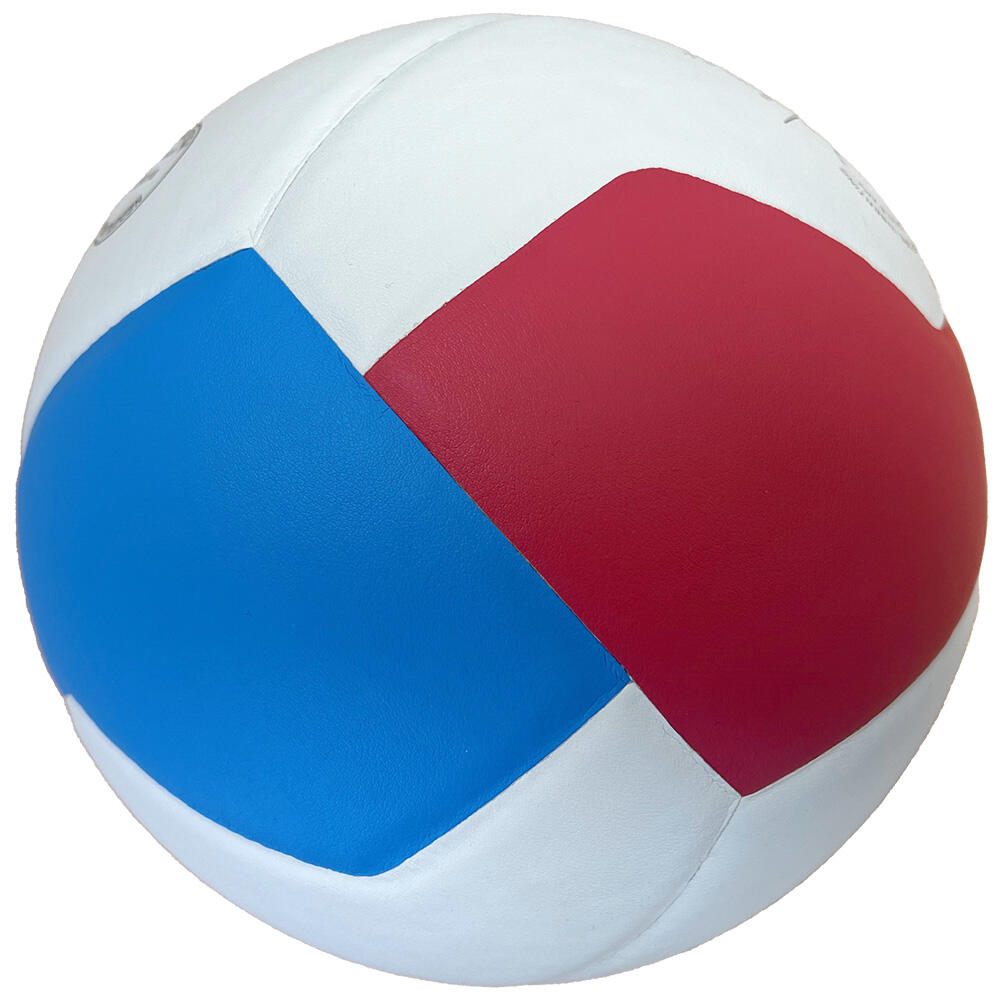 Volleybal Pro-line 5576S 2/4