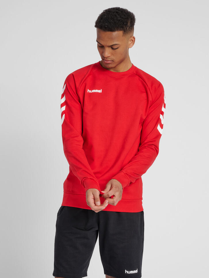 Bluza do piłki ręcznej męska Hummel Go Cotton Sweatshirt