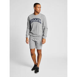 Enfiler Sweatshirt Hmlic Homme HUMMEL