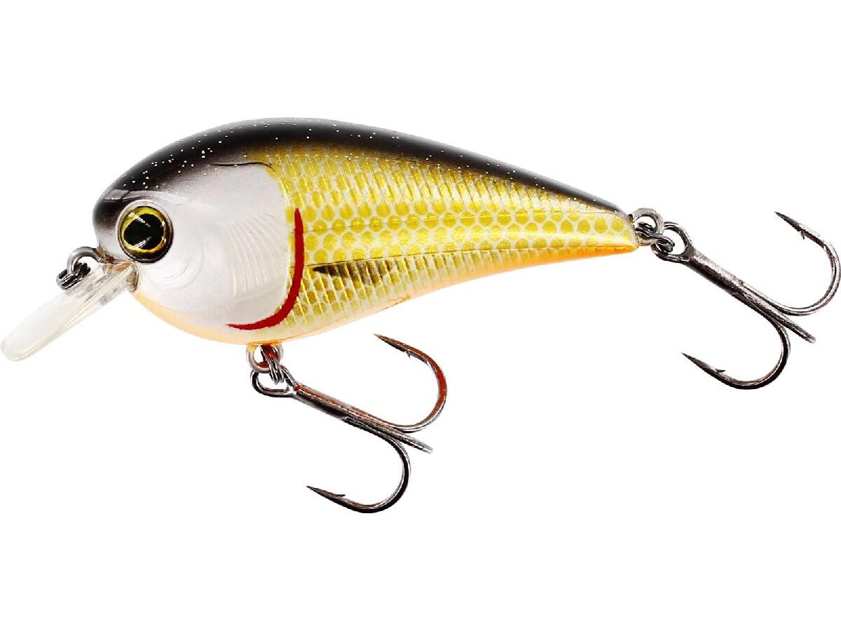 Westin Squarebill BassBite 6cm 13Gr Floating Official Roach - Westin Kunstaas 2/2