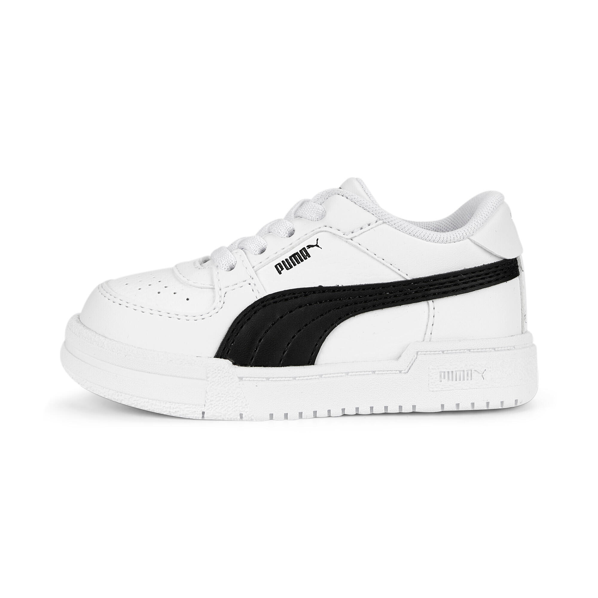 PUMA picture