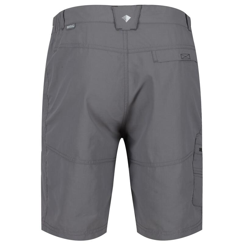 Short de marche LEESVILLE Homme (Gris)