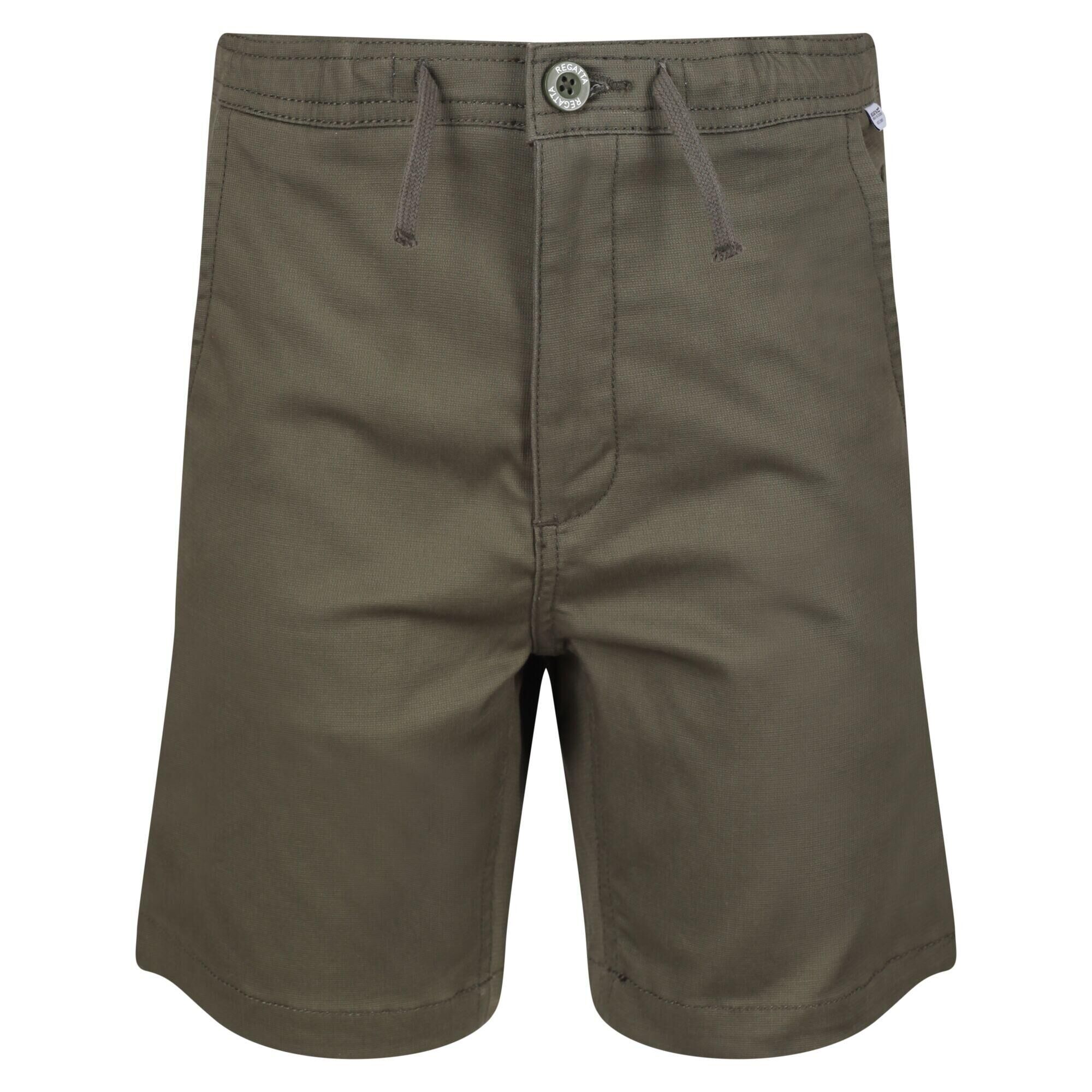 REGATTA Childrens/Kids Alber Ottoman Shorts (Grape Leaf)