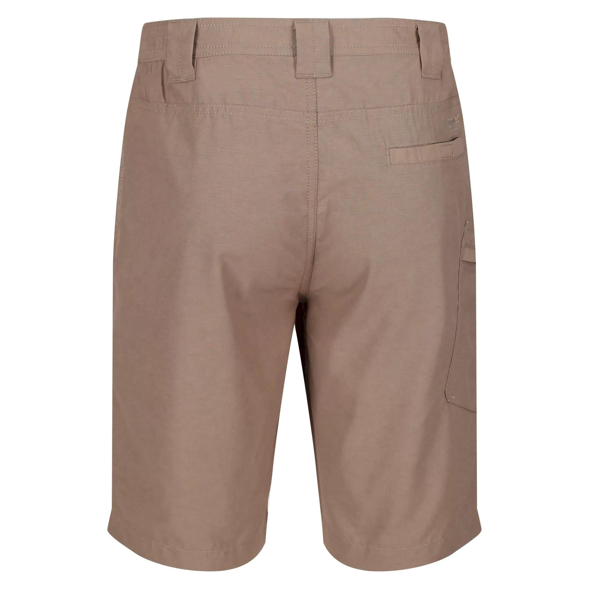 Men's DELGADO shorts (Dark beige)