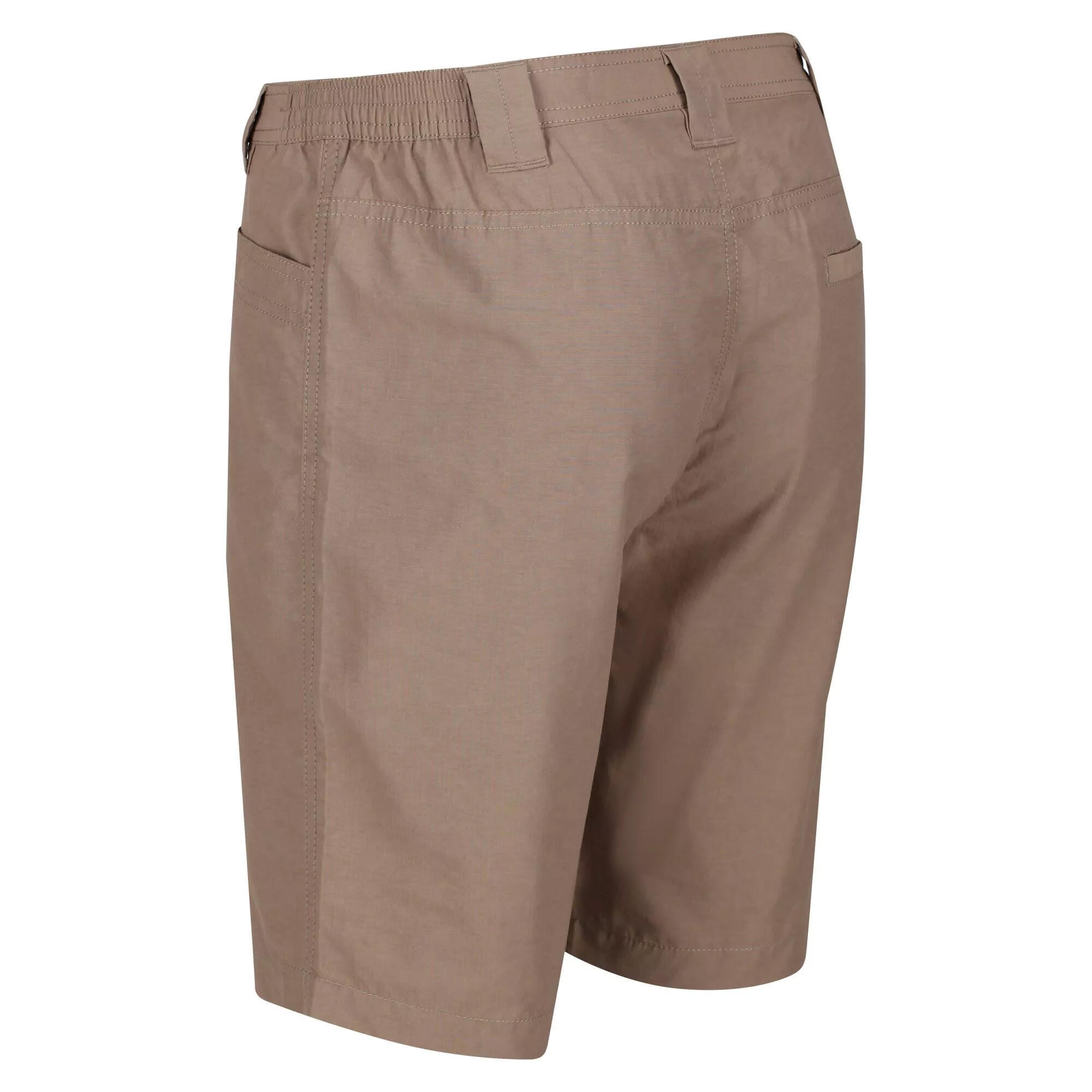 Men's DELGADO shorts (Dark beige)