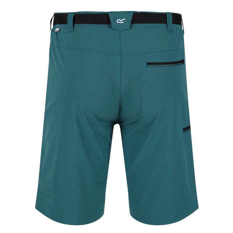 Pantalones Cortos Xert III para Hombre Verde Pacífico