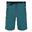 Heren Xert III Stretch Shorts (Pacifisch Groen)