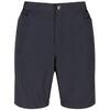 Heren Delgado Shorts (Afdichting Grijs)