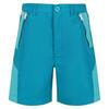 Sorcer II Bergshorts voor kinderen/Kinderen (Email/Turkoois)