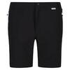 Short MOUNTAIN Homme (Noir / Gris sombre)