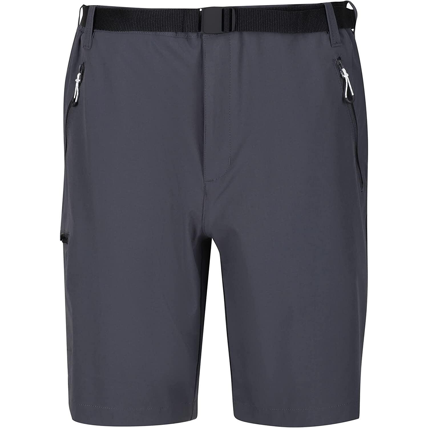 REGATTA Mens Xert III Stretch Shorts (Seal Grey)