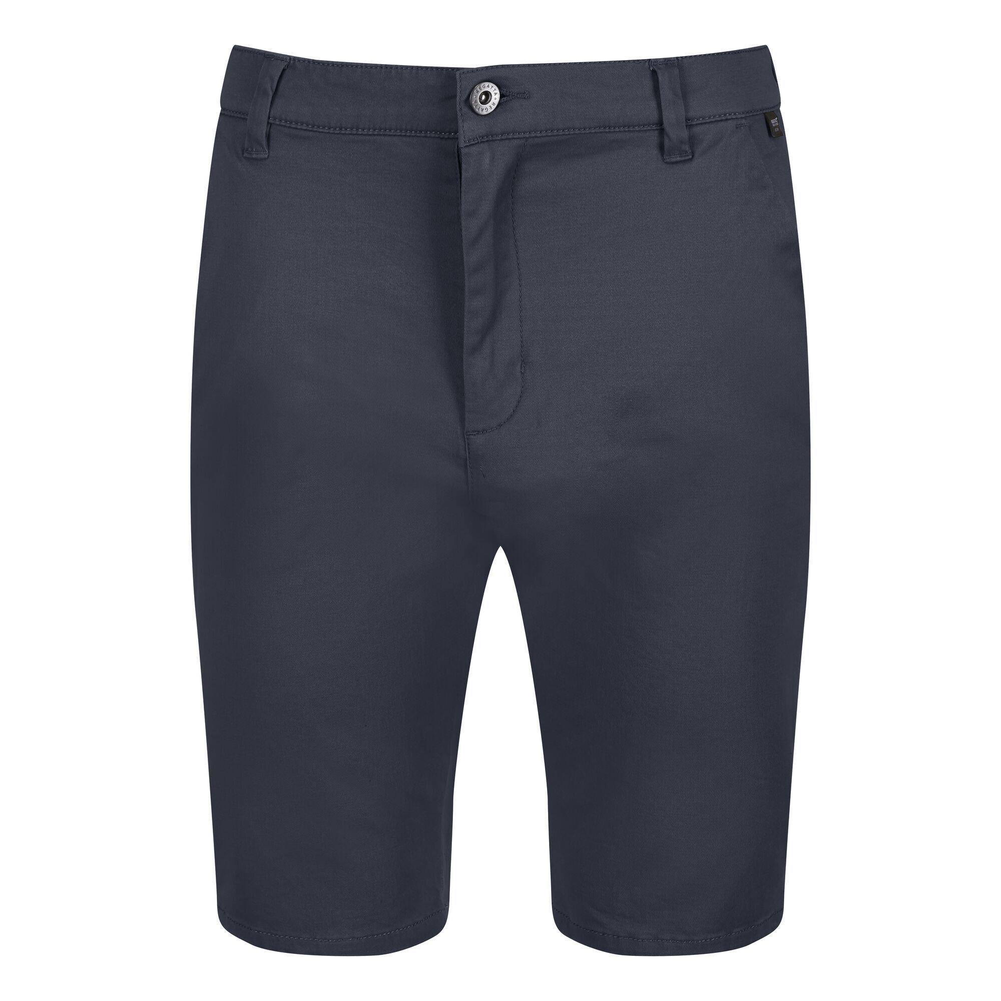 REGATTA Mens Sandros Shorts (India Grey)