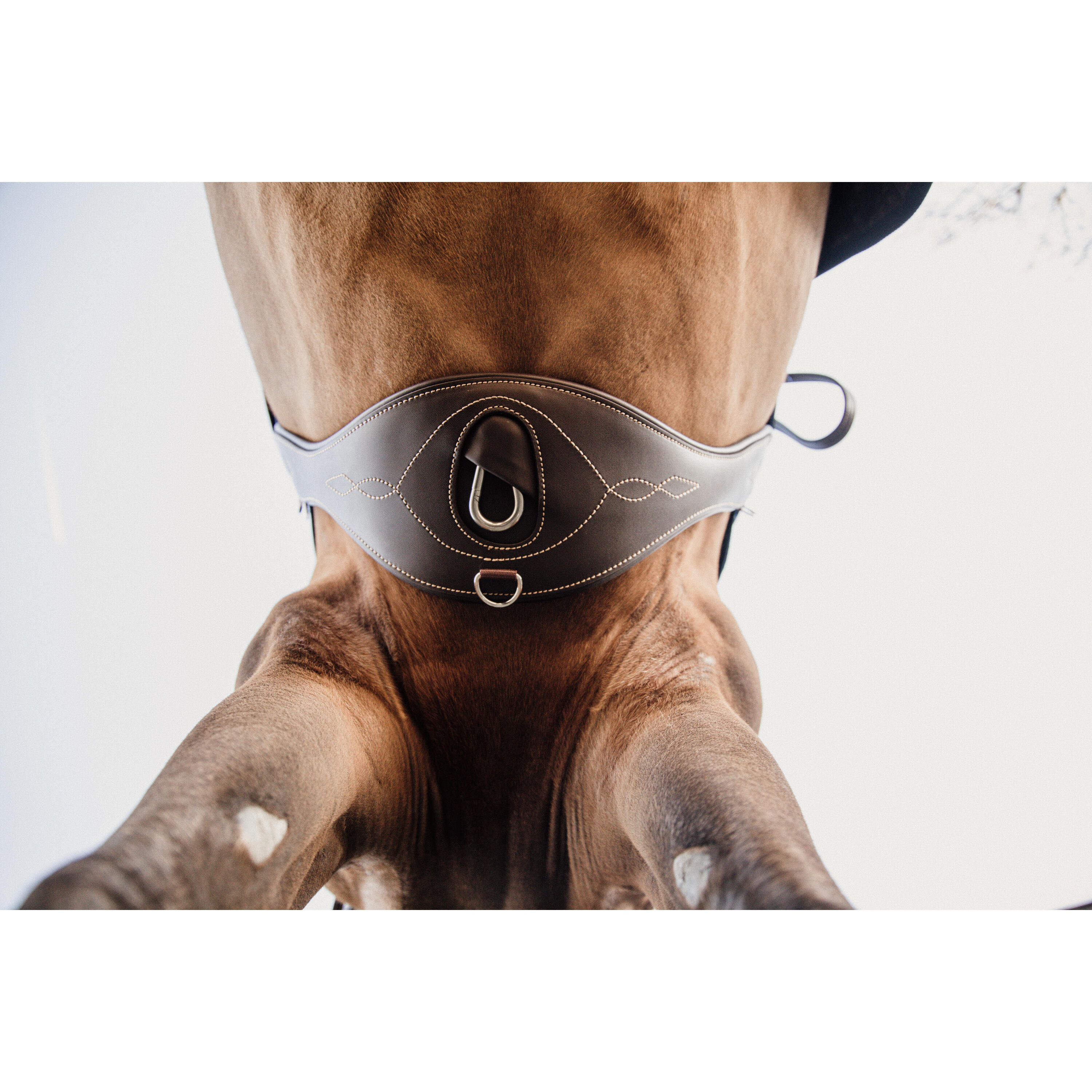 Sangle anatomique pour cheval Kentucky 2/4