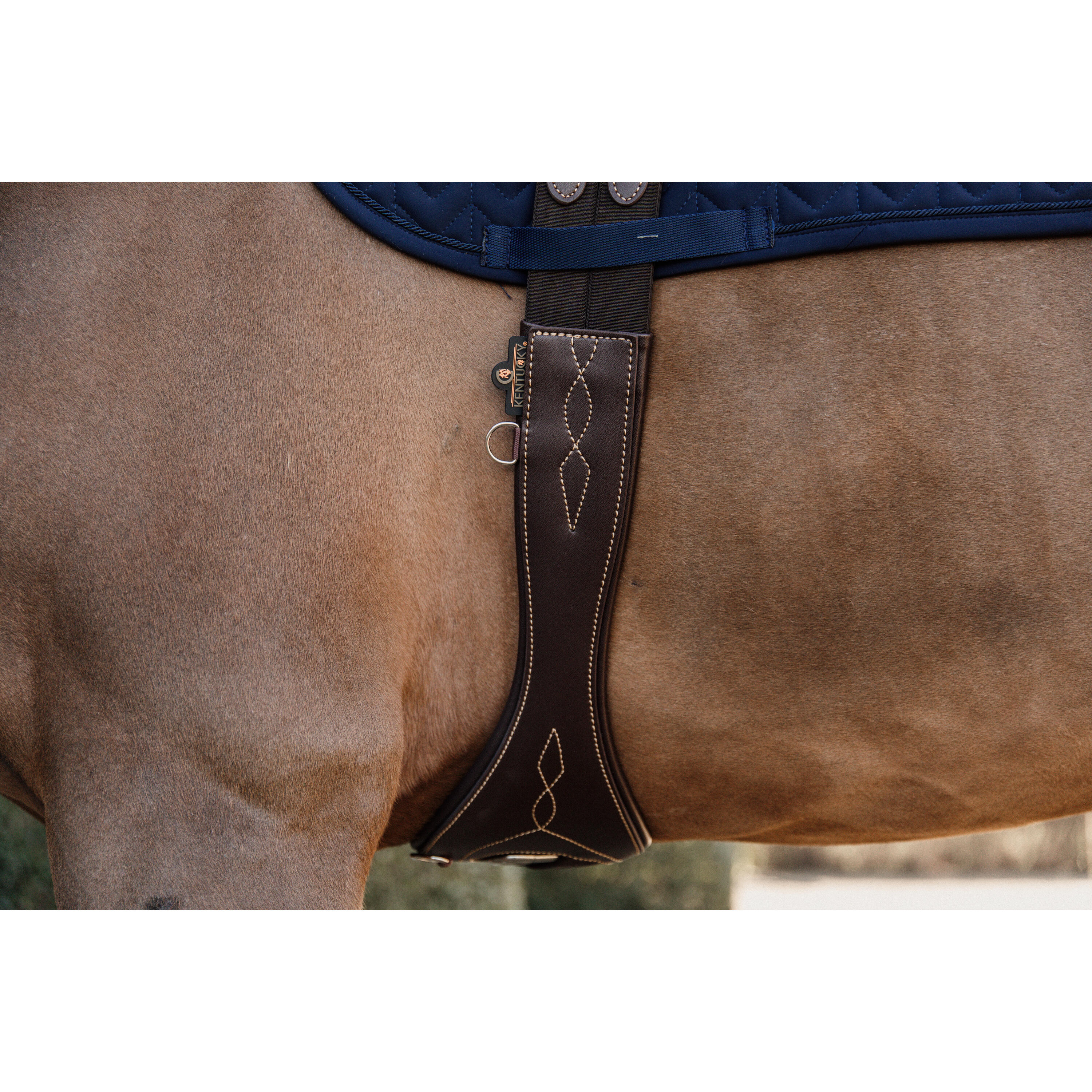 Sangle anatomique pour cheval Kentucky 3/4
