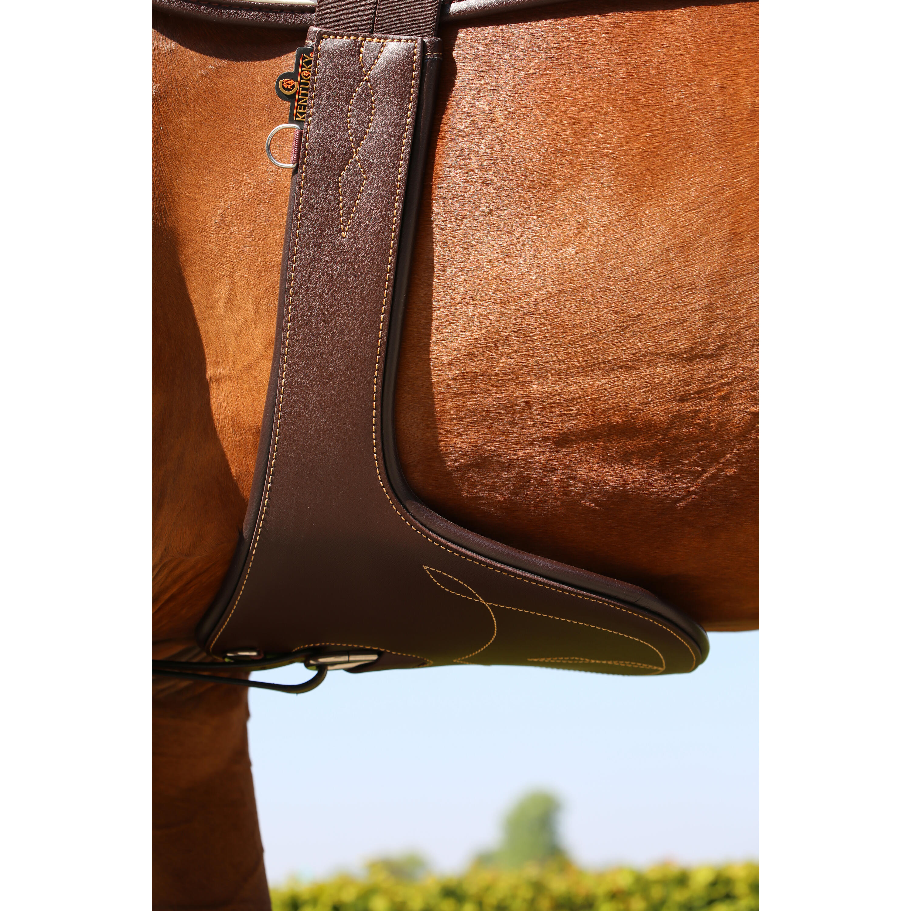 Sangle bavette d'équitation Kentucky 2/7