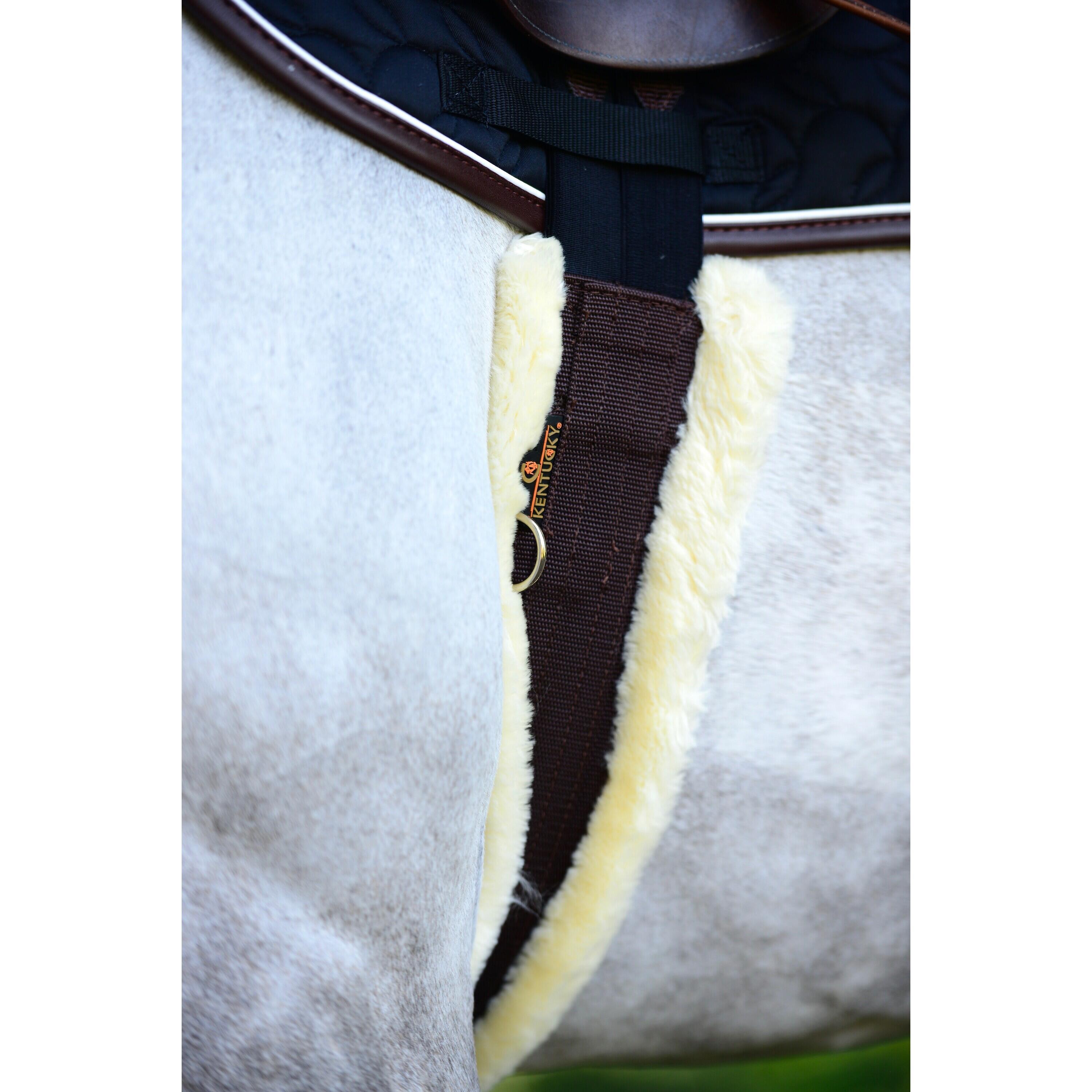Sangle pour cheval mouton Kentucky 4/4
