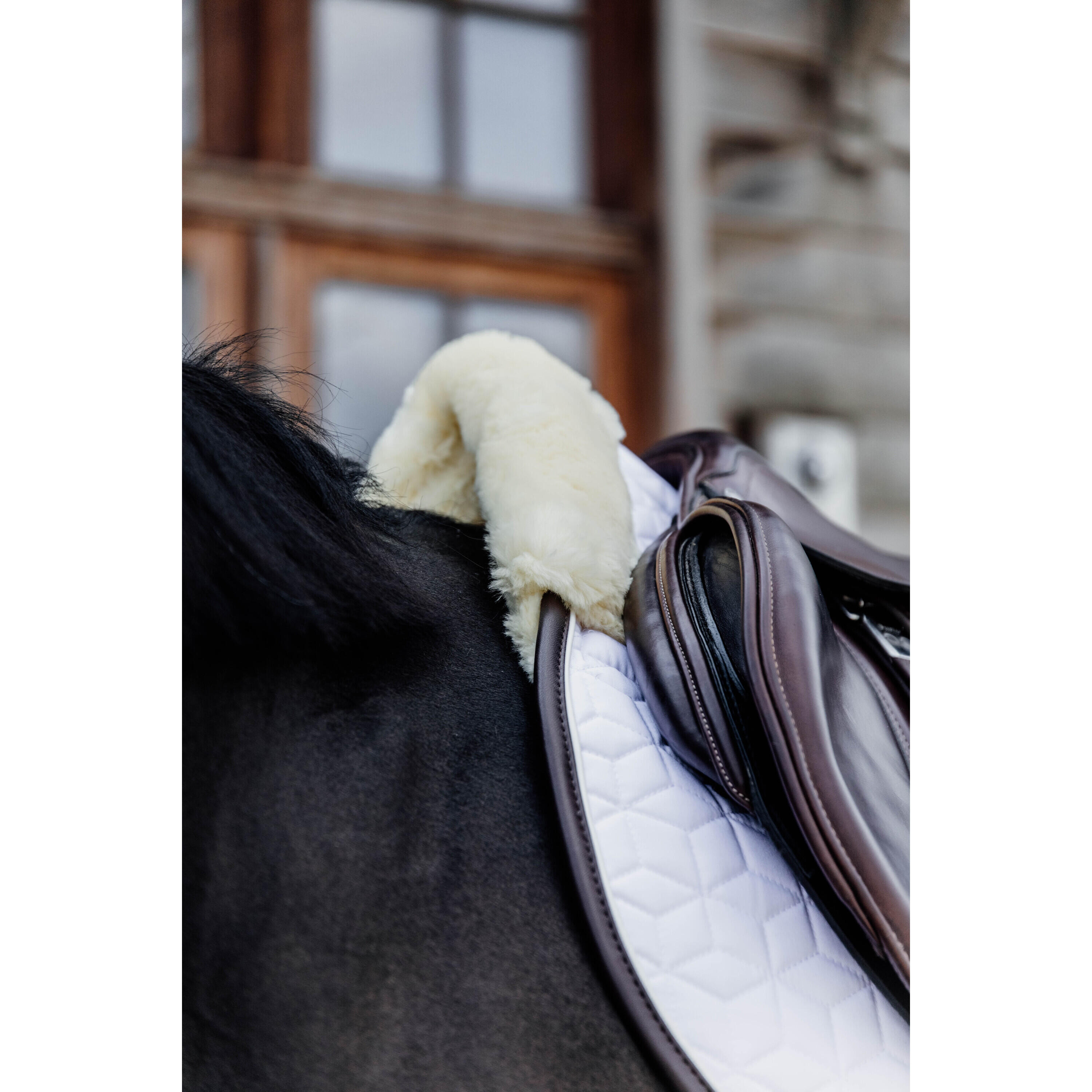 Tapis de CSO Kentucky Skin Friendly 3/5