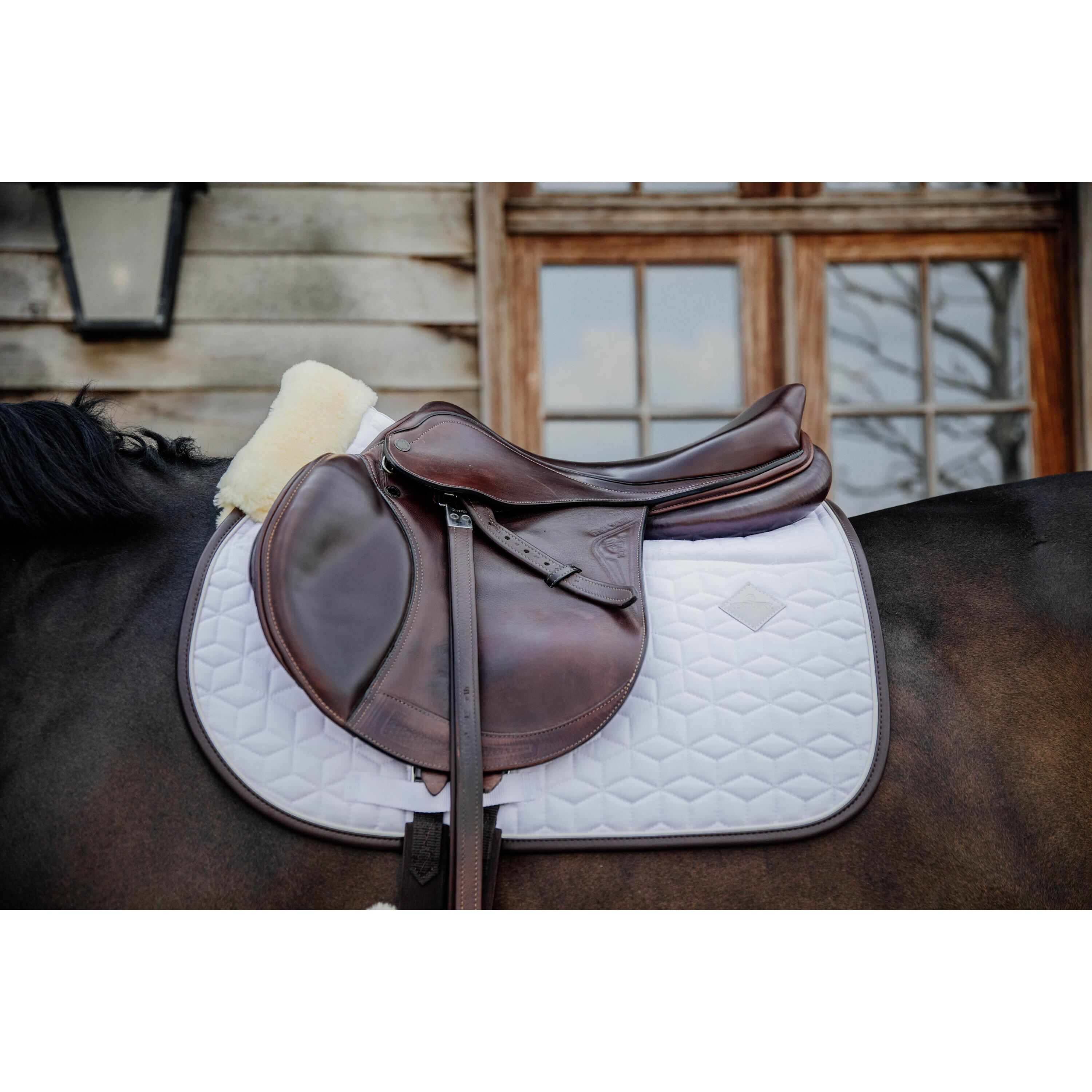 Tapis de CSO Kentucky Skin Friendly 2/5