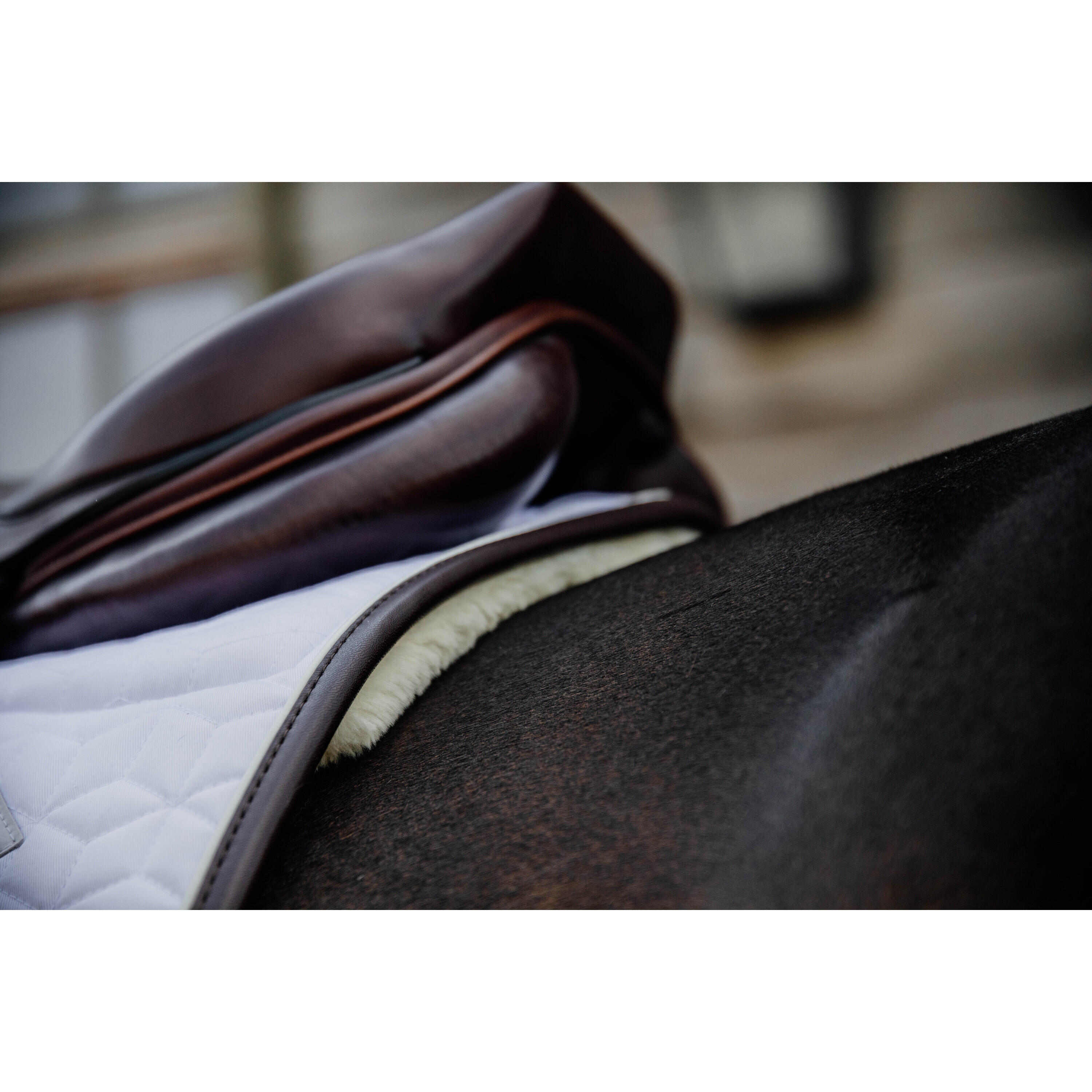 Tapis de CSO Kentucky Skin Friendly 4/5