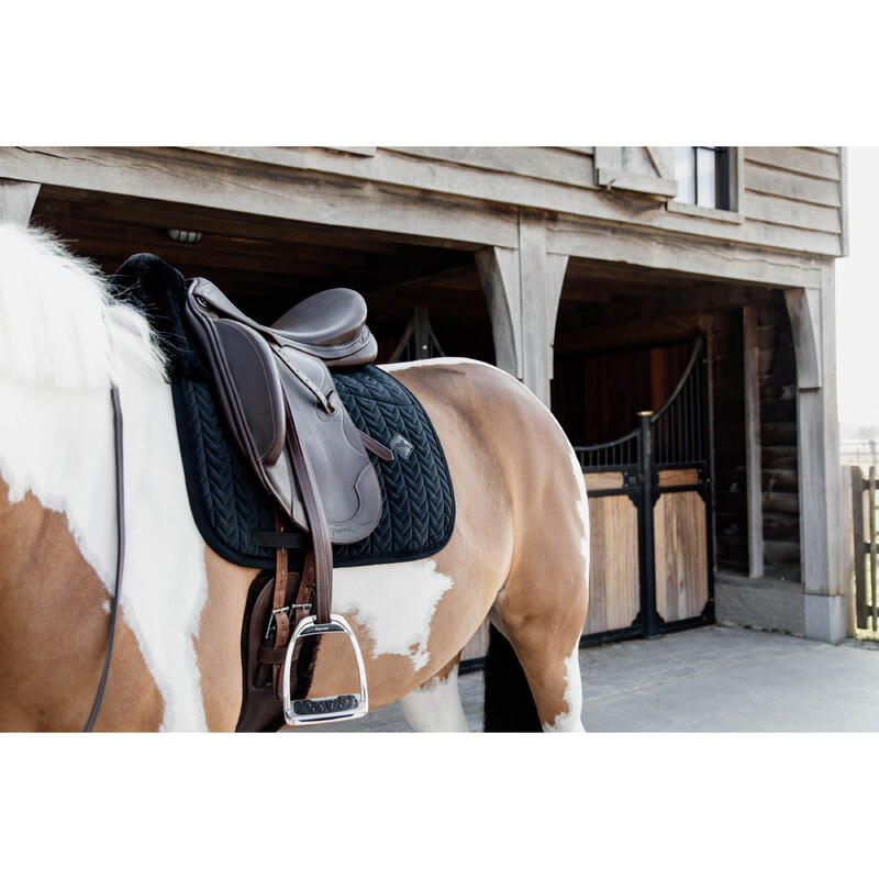 Tour a private dressage facility in the cascade mountains