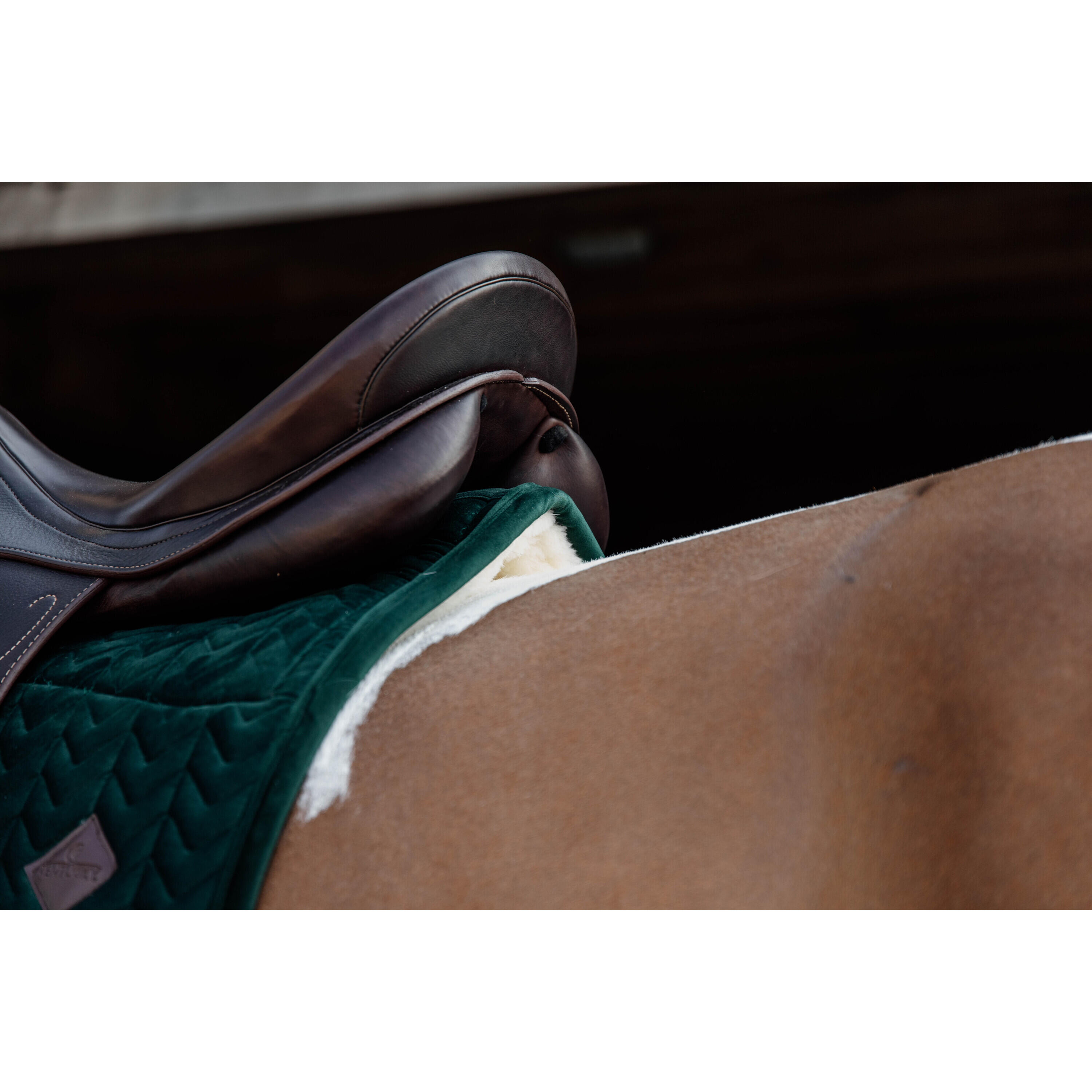 Tappeto da dressage per cavalli Kentucky Skin Friendly velvet 5/5
