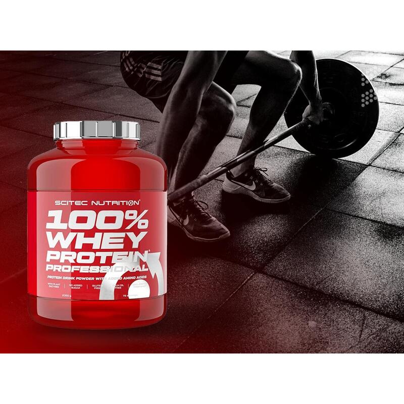 100% Whey Protein Professional - Chocolat Biscuits et Crème