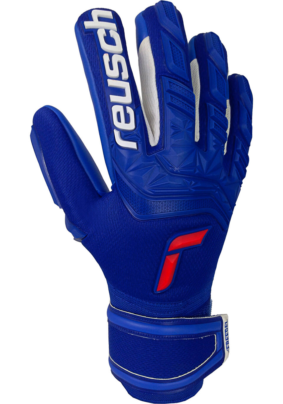 Gants de gardien de but Attrakt Freegel Silver 2/5