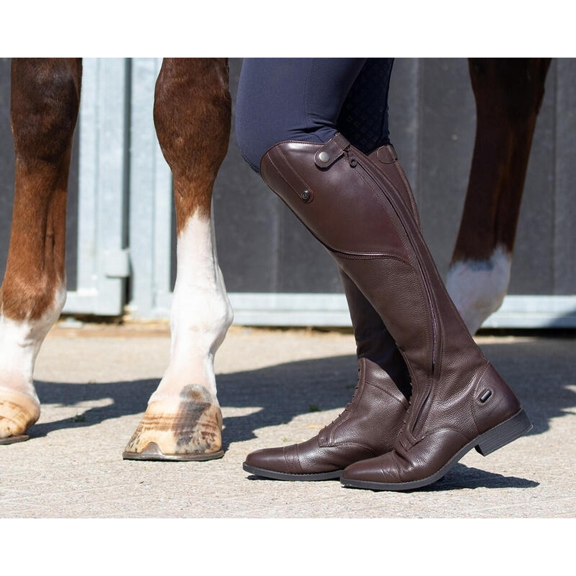 Botine echitație QHP Tamar - Eleganță și confort