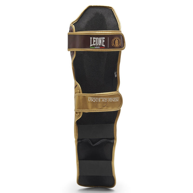 Tibiere Leone Legionarius