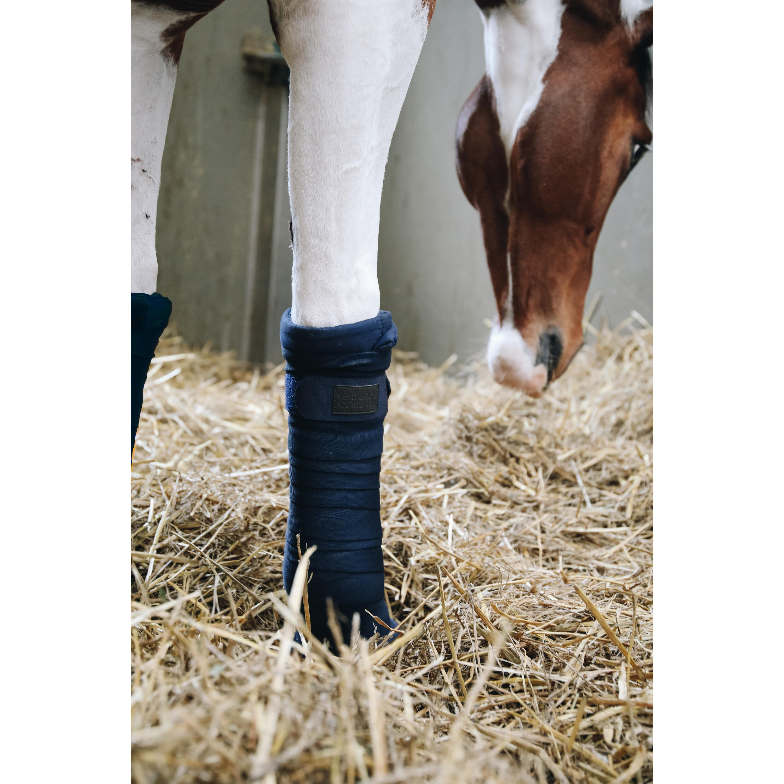 Set of 4 resting strips for horses Kentucky Repellent 2/2