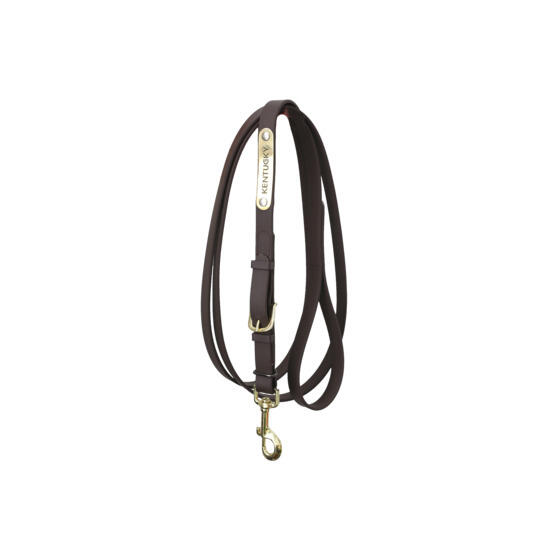 Horseback riding lanyard for leather presentation horse Kentucky