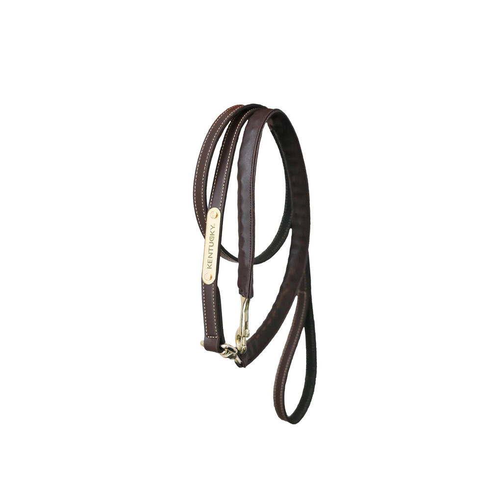 Presentation Horse Lead Rope Kentucky