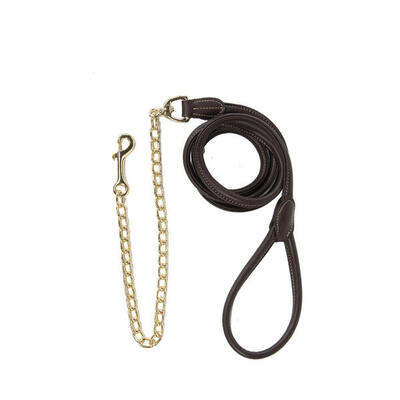 Lunghina cavallo da presentazione Kentucky
