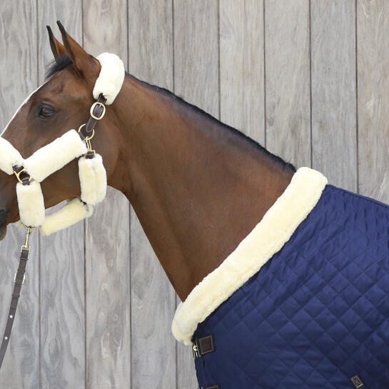 Longe équitation pour cheval de présentation cuir Kentucky 2/7