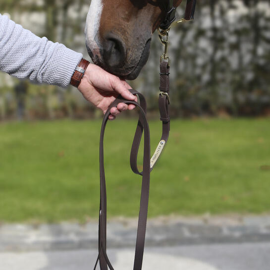 Longe équitation pour cheval de présentation cuir Kentucky 3/7