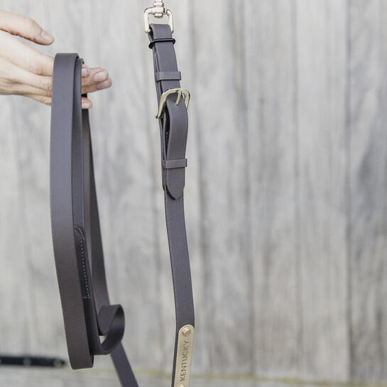 Longe équitation pour cheval de présentation cuir Kentucky 4/7
