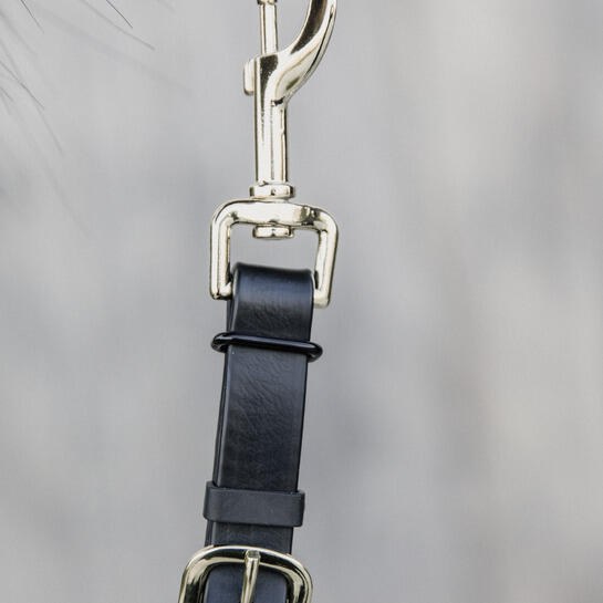 Longe équitation pour cheval de présentation cuir Kentucky 3/4