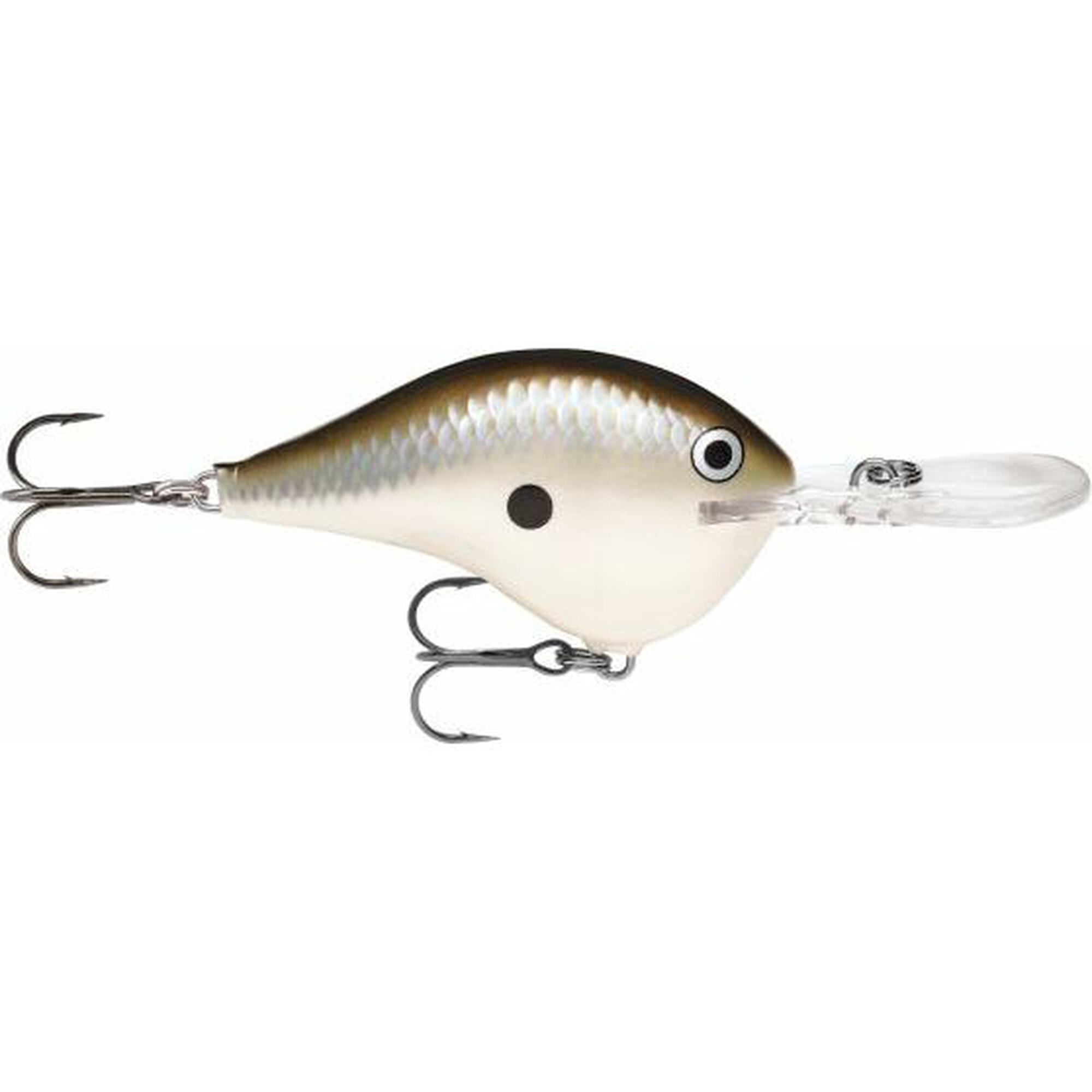 RAPALA picture