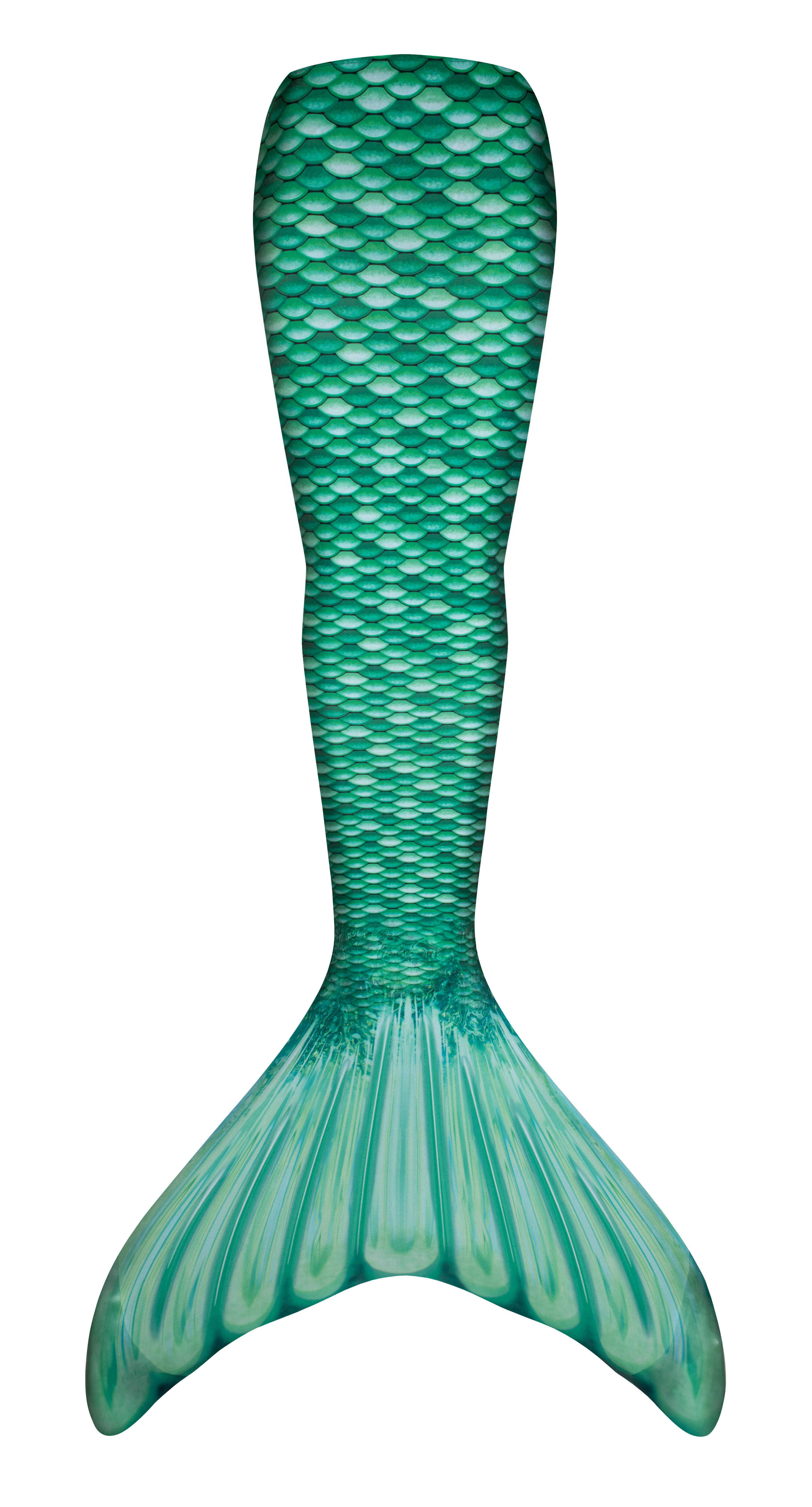 Palme de sirène Fin Fun « Mermaidens Originals » CELTIC GREEN 2/8