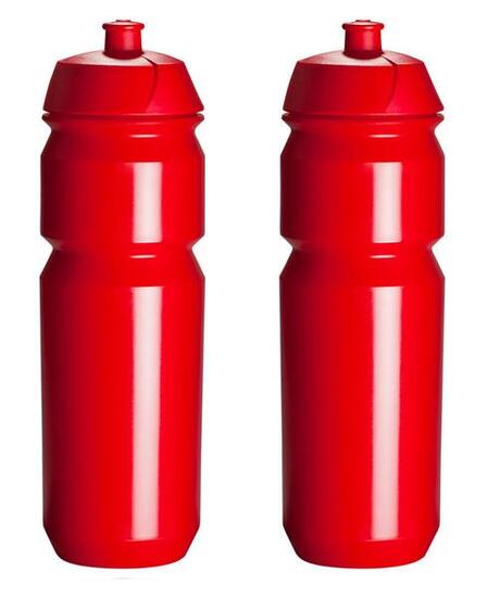 Wasserflasche - 2x 750ml - Shiva - Transparent Blau - Trinkflasche