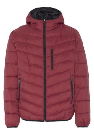 Steppjacke mit leicht glänzender Optik