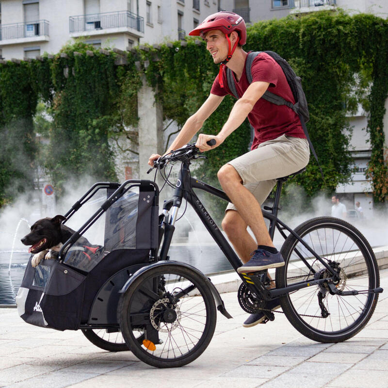 Vélo de transport pour chiens