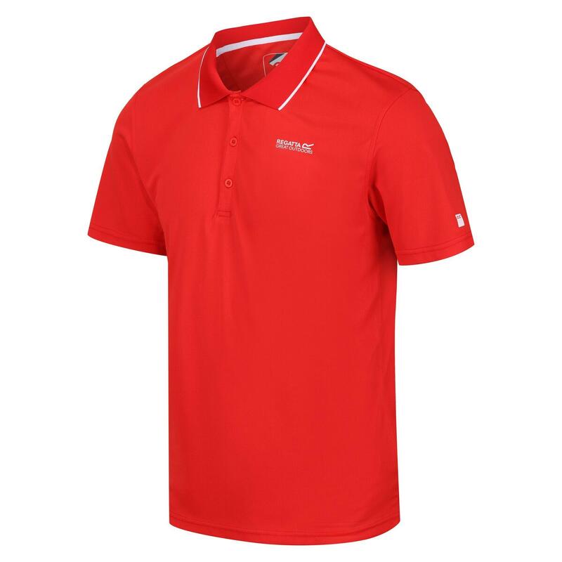 Poloshirt MaverikV Wandern/Outdoor/Trekking Herren Seville Atmungsaktiv REGATTA