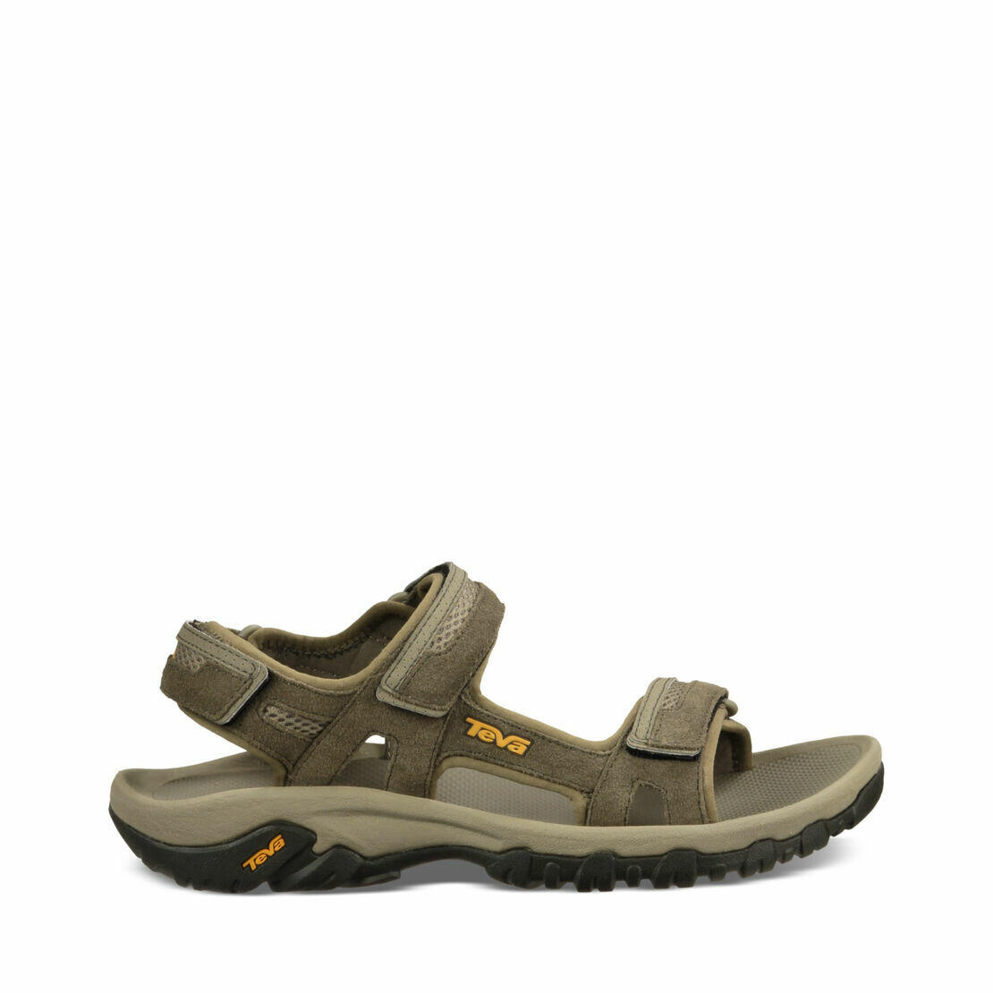 TEVA picture