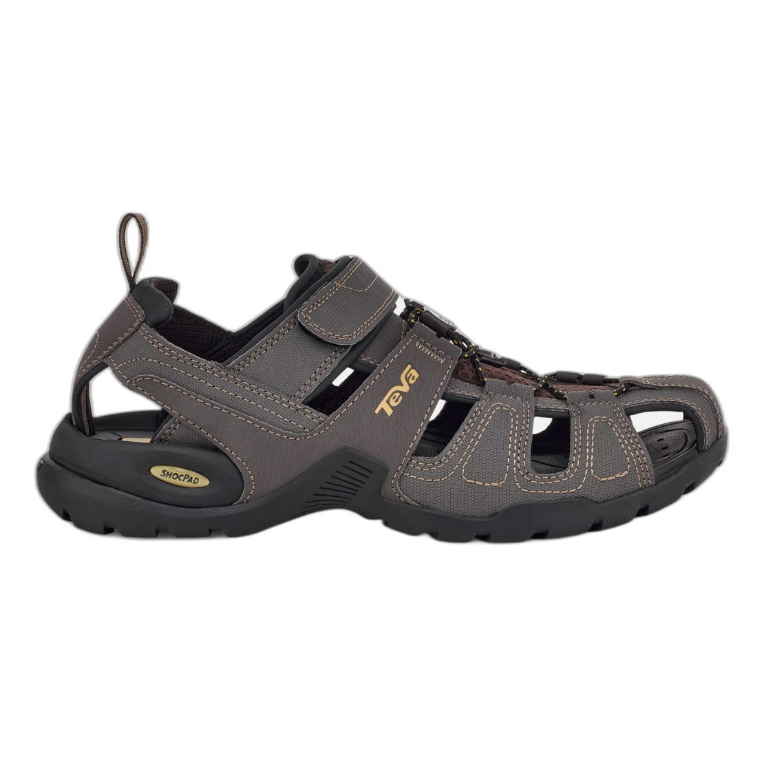 TEVA picture