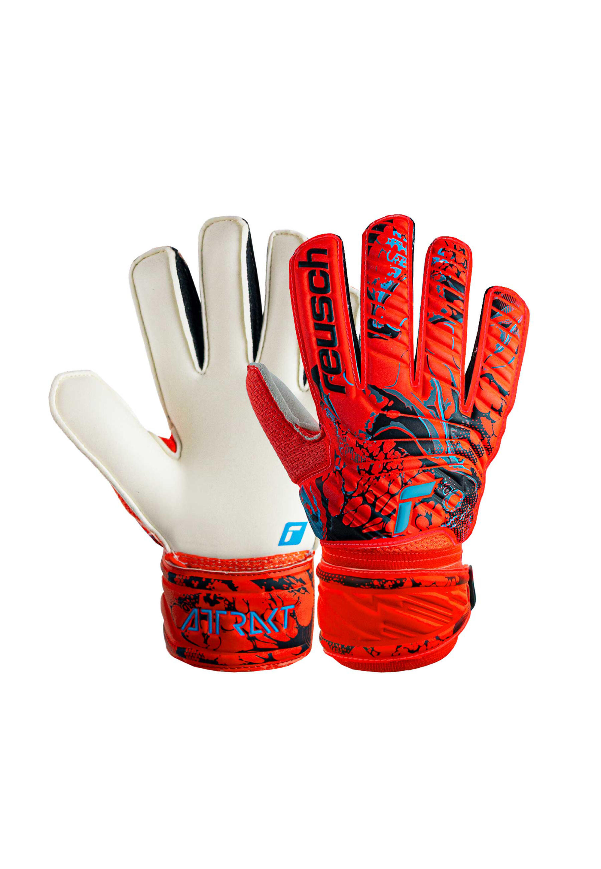 REUSCH picture